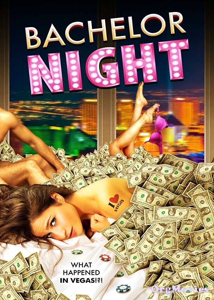Bachelor Night 2014 download full movie