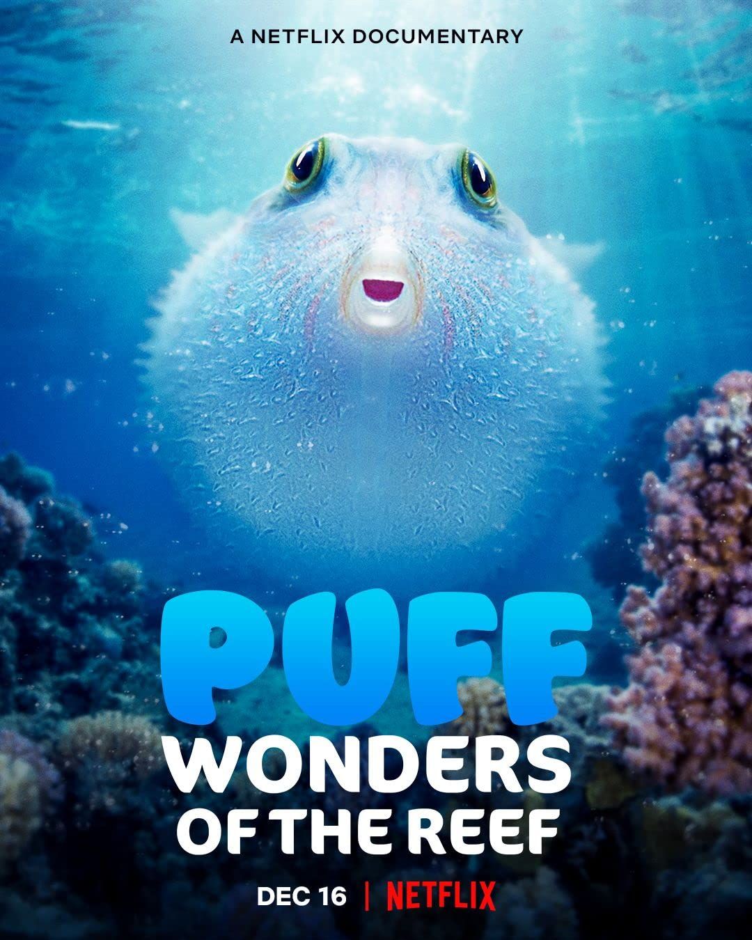 Puff: Wonders of the Reef (2021) Hindi Dubbed HDRip download full movie