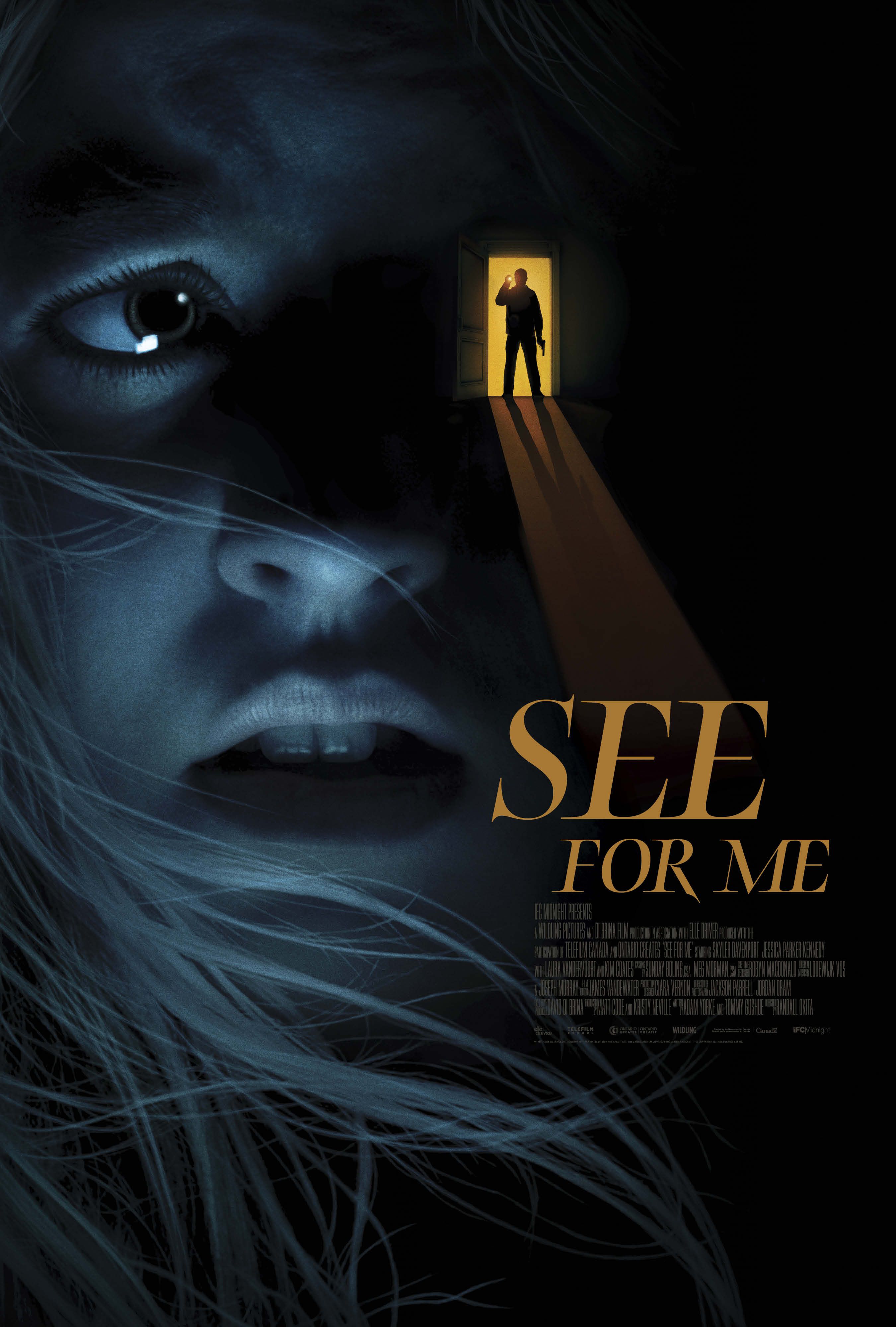 See for Me (2021) Hindi Dubbed BluRay download full movie