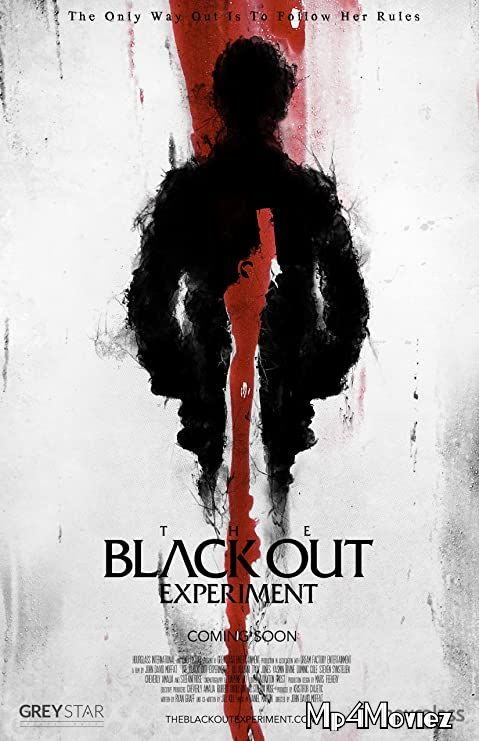 The Blackout Experiment (2021) Hindi (Voice Over) Dubbed WEBRip download full movie
