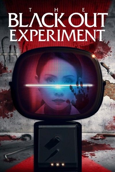 The Blackout Experiment (2021) Hindi ORG Dubbed HDRip download full movie